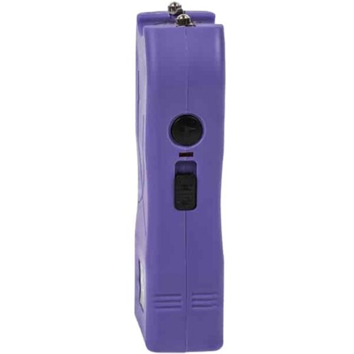 Runt Stun Gun with Flashlight